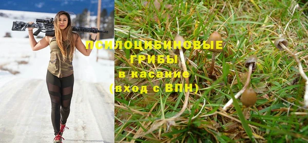 COCAINE Богданович