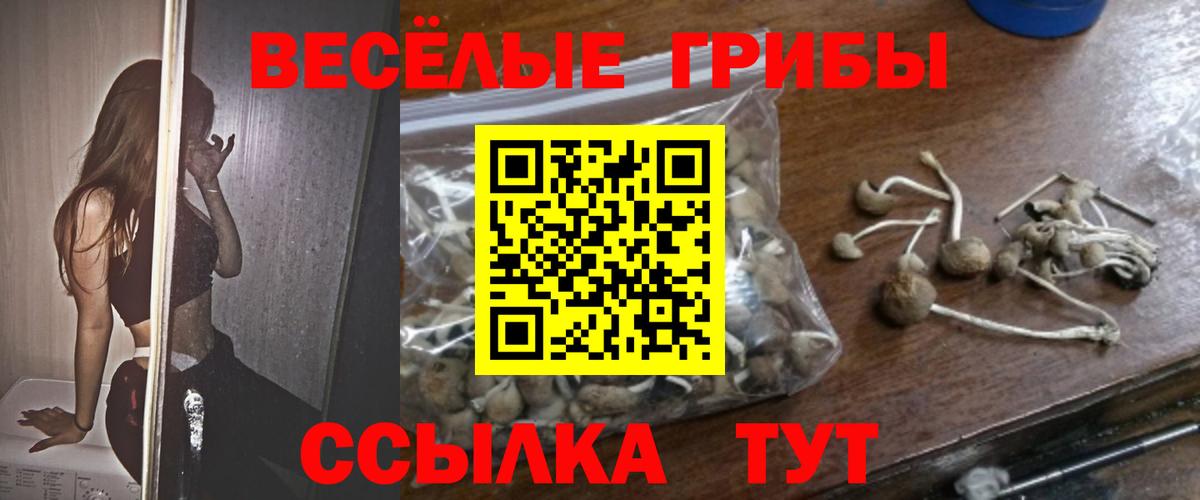 Псилоцибиновые грибы GOLDEN TEACHER Реж